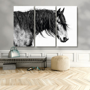 Majestic Horse Wall Art – Framed Black White Portrait Canvas