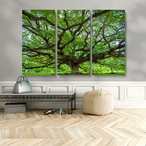 Oak Tree Wall Art Print, Forest Canvas Wall Art for Home and