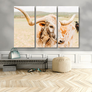 Texas Longhorn Wall Art Canvas Print – Framed Spotted Cow