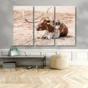 Texas Longhorn Wall Art – Framed Resting Bull Canvas