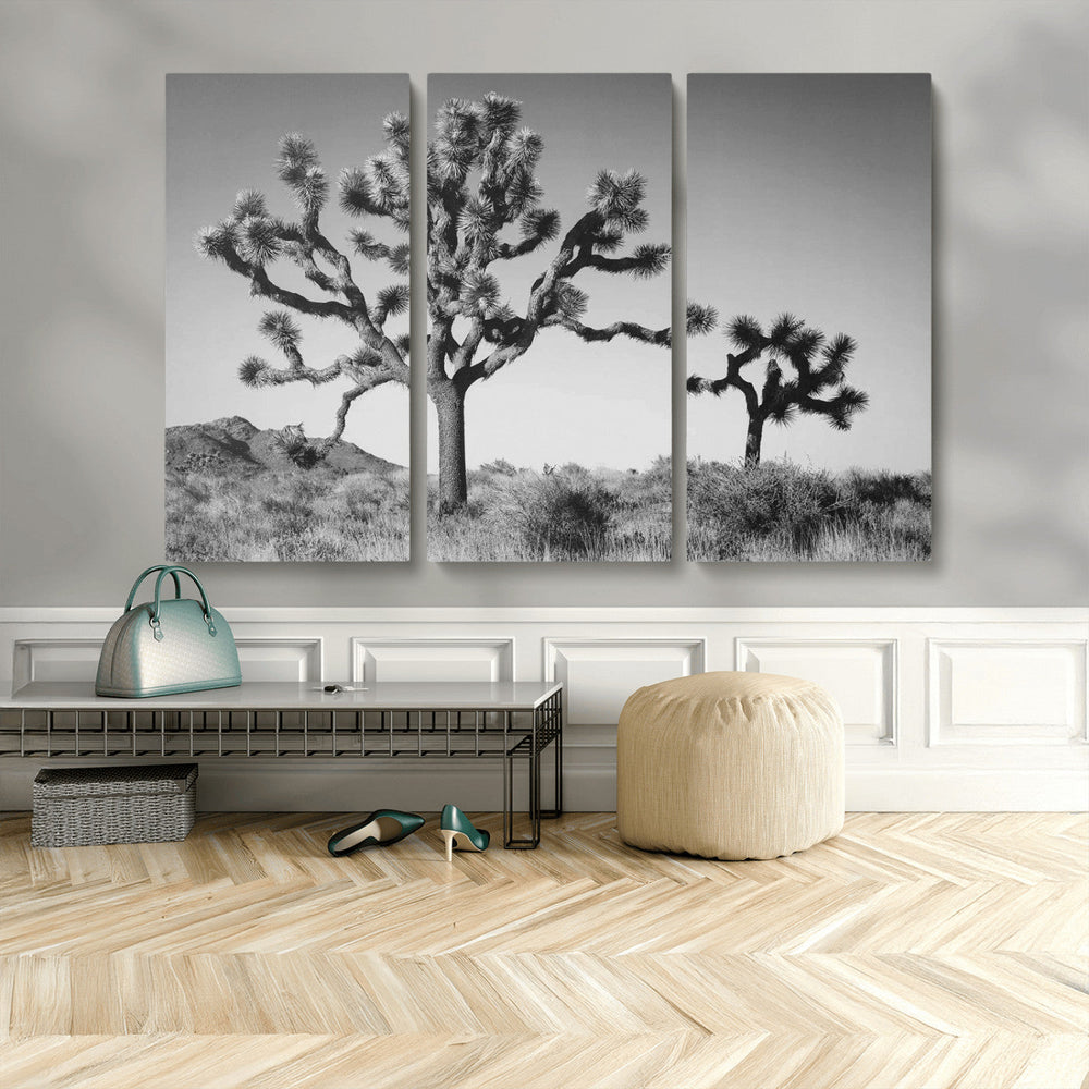Joshua Tree Wall Art Canvas Print – Framed Monochrome Desert