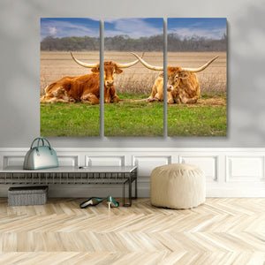 Texas Longhorn Pair Wall Art Canvas Print – Peaceful Rustic