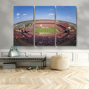 William Brice Stadium Wall Art Canvas Print – Stadium Crowd