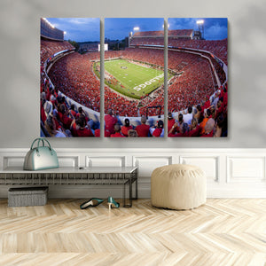 Dooley Stadium Wall Art, Sports Arena Canvas Print, Dooley