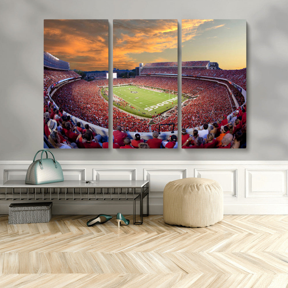 Dooley Stadium Wall Art, Sports Arena Canvas Print, Dooley