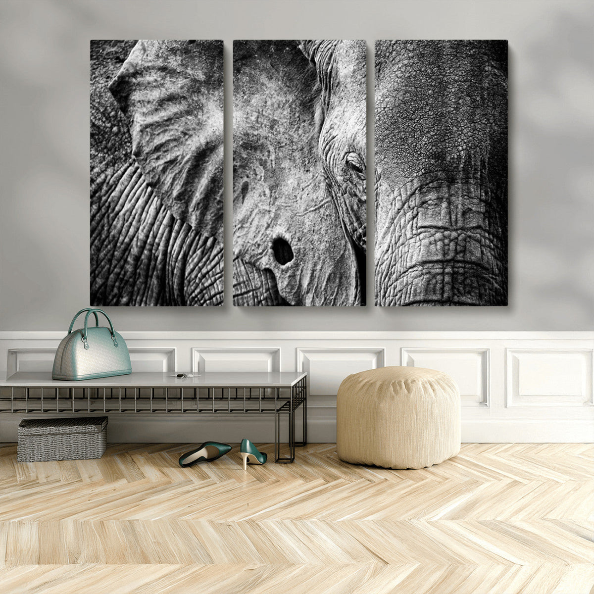 Wild Old Elephant Wall Art Canvas Print