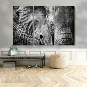 Wild Old Elephant Wall Art Canvas Print
