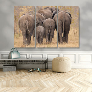 Wild Elephant Wall Art Canvas Print