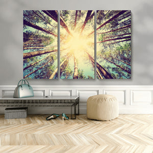 Tree and Sunshine Canvas Print