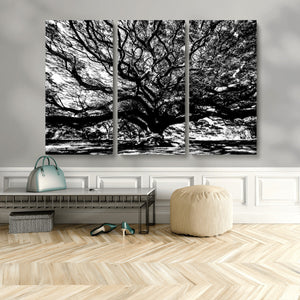 Mighty Angel Oak Wall Art | Angel Oak Tree Art Print