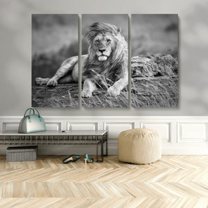 King Forest Lion Wall Art Canvas Print – Framed Majestic