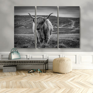 Fluffy Cattle Wall Art Print, Highland Cow Canvas, Framed