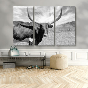 Cattle Wall Art Longhorn Cow Canvas Print