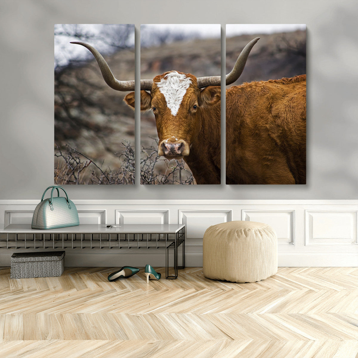 Texas Longhorn Canvas Wall Art - Longhorn Steer Canvas Wall