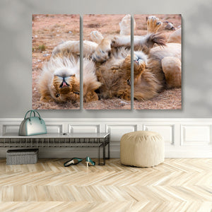 Lion Pair Wall Art Canvas Print – Framed Wildlife Scene with