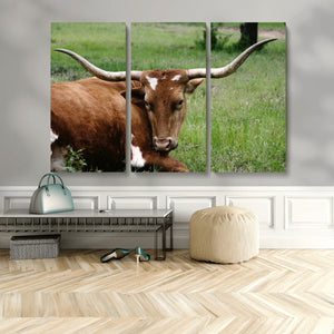 Longhorn Cow Animal Wall Art Canvas Print