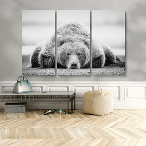 Resting Grizzly Bear Wall Art Canvas Print – Majestic Lazy