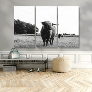 Black and White Highland Cow Wall Art Canvas Print | Rustic