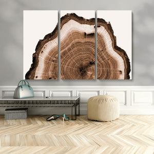 Rustic Wood Rings Wall Art | Nature-Inspired Tree Ring