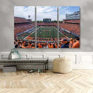 University of Illinois Fighting Illini Football Team Print