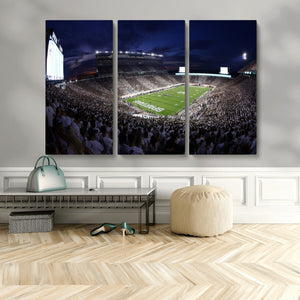 Michigan State Spartans Canvas, Framed Football Team Print -