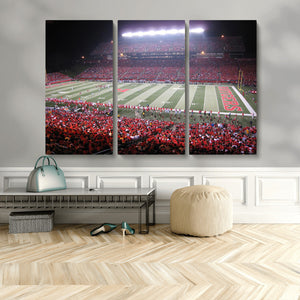 Rutgers University Scarlet Knights Football Team Print -