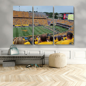 Puskar Stadium Canvas Print Wall Art - Morgantown Print -