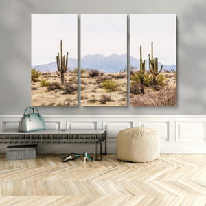 Arizona Desert Wall Art Print | Arizona Desert Canvas Print