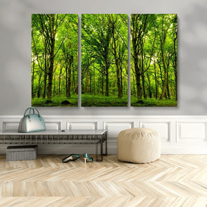 Lush Green Forest Canvas Print | 3-Panel Forest Wall Art |