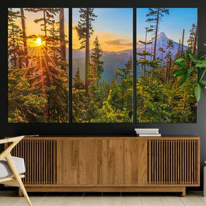 Forest Sunset Wall Art Canvas Print, Glowing Evening Light