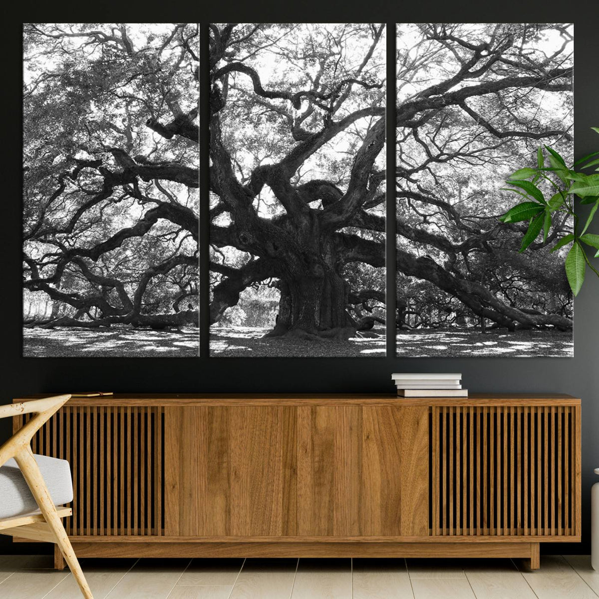 Ancient Oak Wall Art Canvas Print, Majestic Twisted Branches