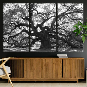 Ancient Oak Wall Art Canvas Print, Majestic Twisted Branches