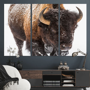 Bison Wall Art Canvas Print For Farmhouse, Wild Animal Wall