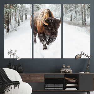 Bison Wall Art Canvas Print For Farmhouse, Animal Canvas