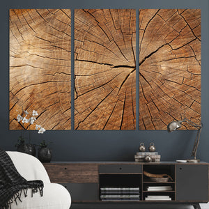 Tree Ring Canvas Art, Rustic Wood Grain Wall Art, Tree Slice