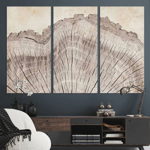 Tree Ring Wall Art Triptych, Rustic Wood Ring Canvas Print,