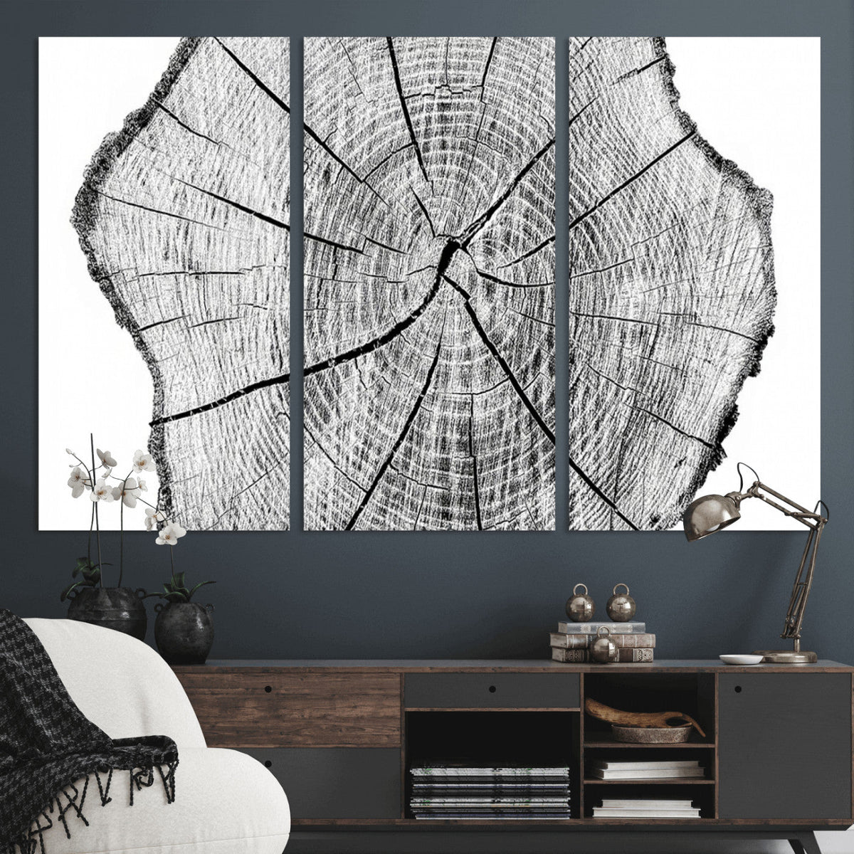 Rustic Tree Ring Wall Art Canvas Print – Framed and Ready to