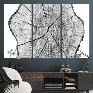 Rustic Tree Ring Wall Art Canvas Print – Framed and Ready to