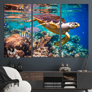 Sea Turtle Wall Art Canvas Print – Vibrant Ocean Coral Reef