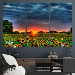 Golden Sunflower Field at Sunset – Breathtaking Sky and