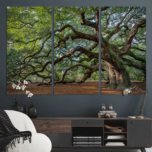 Historic Tree Wall Art – Framed Mossy Branch Canvas Artwork,
