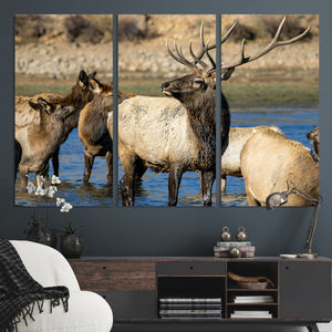 Wild Elk Wall Art Canvas Print – Framed Neutral Wildlife