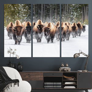 American Bison Herd Wall Art Canvas Print – Powerful Winter