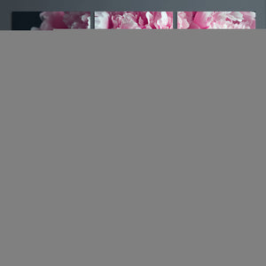 Black Beauty Petal Crown Wall Art Canvas Print – Floral