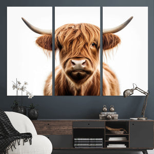 Scottish Highland Cow Canvas Print, Framed Highland Cow