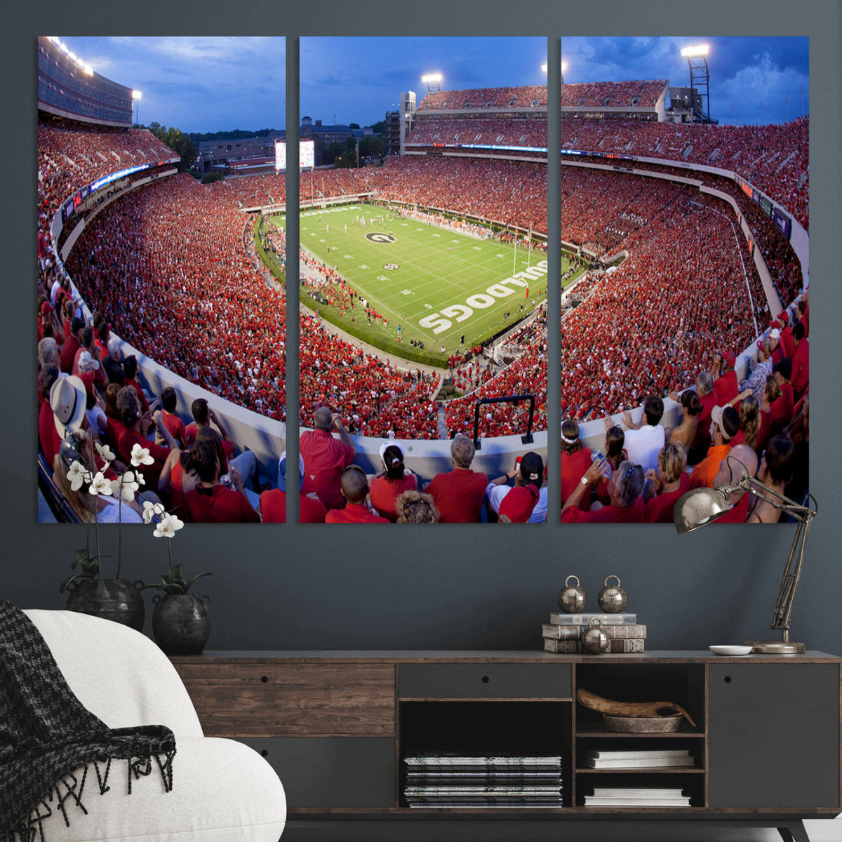 Dooley Stadium Wall Art, Sports Arena Canvas Print, Dooley