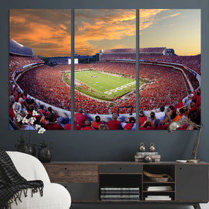 Dooley Stadium Wall Art, Sports Arena Canvas Print, Dooley