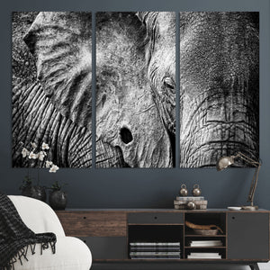 Wild Old Elephant Wall Art Canvas Print