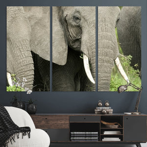 Wild Elephant Wall Art Canvas Print