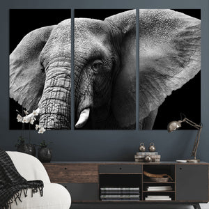 Big Elephant Close Up Wall Art Canvas Print